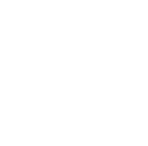 LOGO VERSÃO POSITIVA (11)