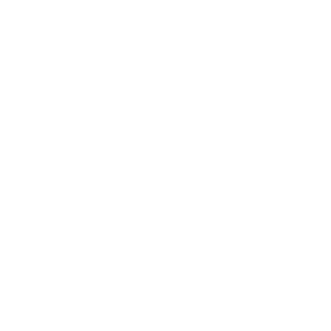 LOGO VERSÃO POSITIVA (12)