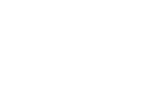 LOGO VERSÃO POSITIVA (20)