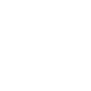 LOGO VERSÃO POSITIVA (4)