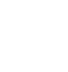 LOGO VERSÃO POSITIVA (9)